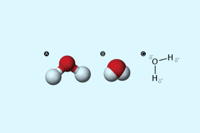 Illustration of a water molecule, visualized via ball-and-stick model, space-filling model, and structural formula
